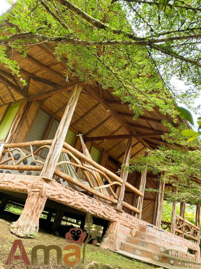 Ama Ecolodge Misahualli ภายนอก รูปภาพ