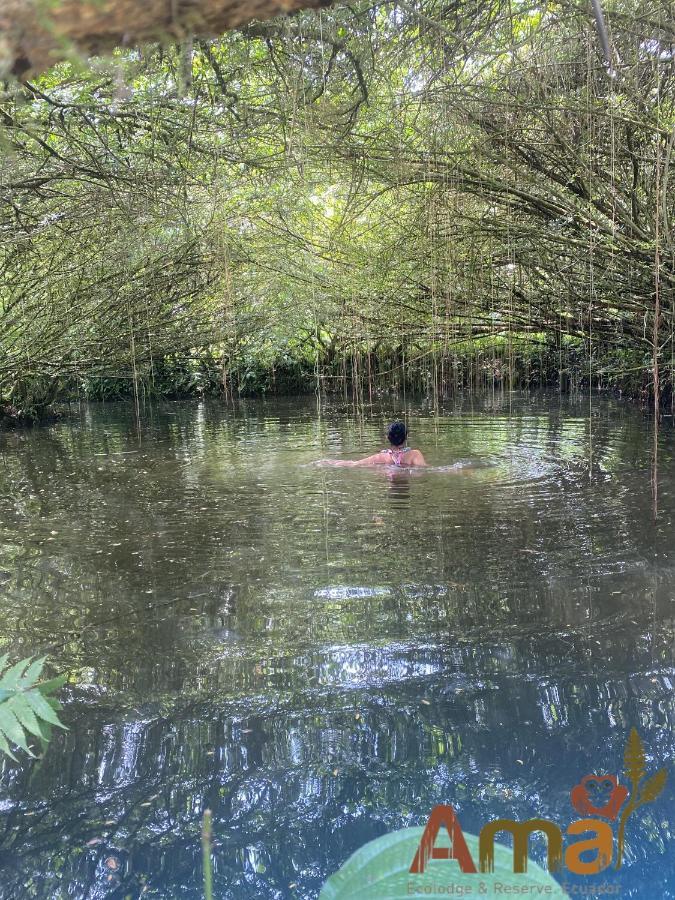 Ama Ecolodge Misahualli ภายนอก รูปภาพ